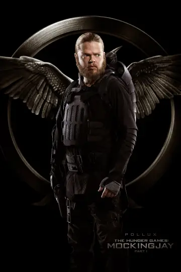Poster to the movie "The Hunger Games: Mockingjay - Part 1" #566877
