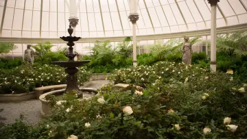 Backdrop to the movie "The Hunger Games: Mockingjay - Part 2" #634243