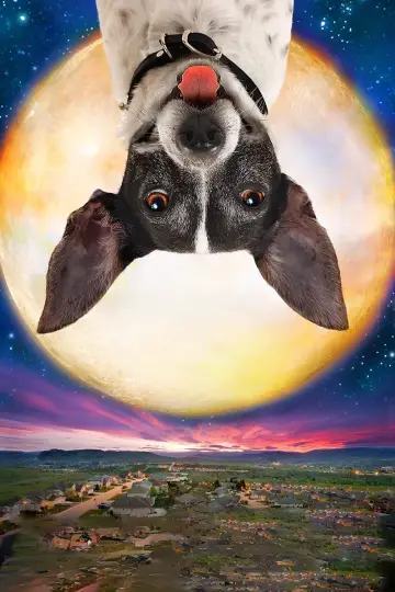Poster to the movie "Vampire Dog" #1746806