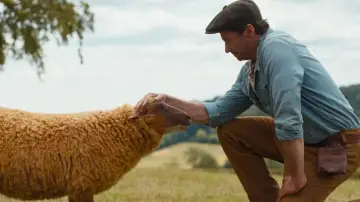 Backdrop to the movie "The Sheep Detectives" #575155