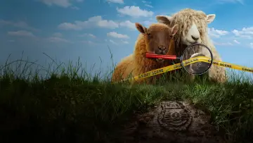 Backdrop to the movie "The Sheep Detectives" #958460