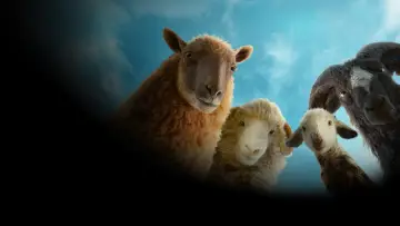 Backdrop to the movie "The Sheep Detectives" #958462