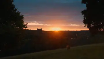 Backdrop to the movie "The Sheep Detectives" #958471