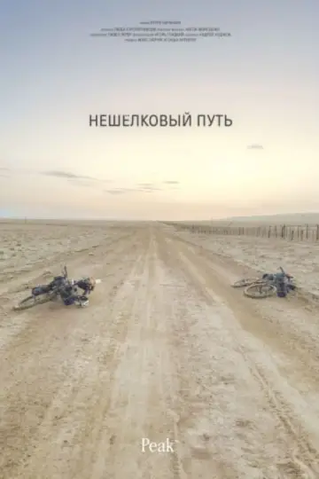 Non-Silk Road (2024)