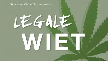 Backdrop to the movie "Legal weed" #1188754