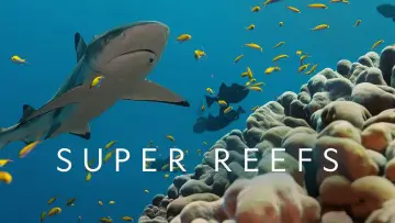 Backdrop to the movie "Super Reefs" #1138343