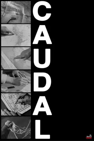 Poster to the movie "Caudal" #1138488