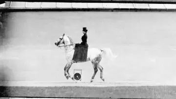 Backdrop to the movie "Bestiaries, Herbaria, Lapidaries" #1192645
