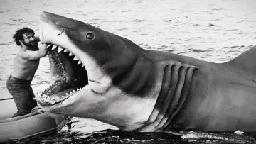Backdrop to the movie "Jaws @ 50: The Definitive Inside Story" #680228