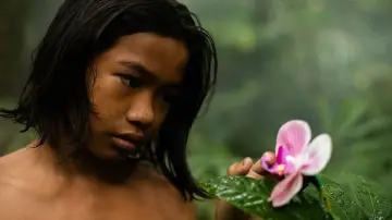 Backdrop to the movie "The Garden of Earthly Delights" #1624085