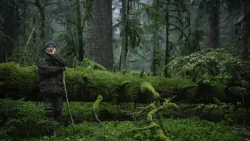 Backdrop to the movie "Whispers in the Woods" #534636