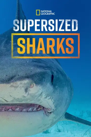 Poster to the movie "Supersized Sharks" #882369