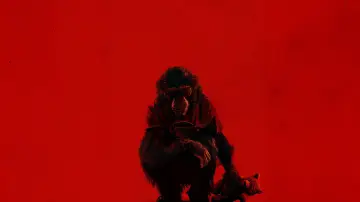 Backdrop to the movie "Primate" #510064