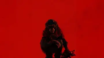 Backdrop to the movie "Primate" #766101