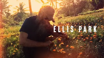 Backdrop to the movie "Ellis Park" #1151561