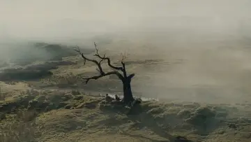 Backdrop to the movie "“Wuthering Heights”" #959763