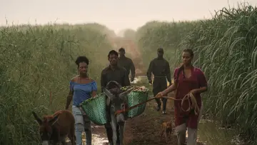 Backdrop to the movie "Sugar Island" #1536437