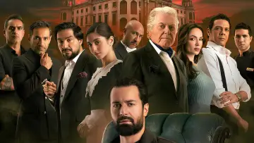 Backdrop to the movie "The Pasha