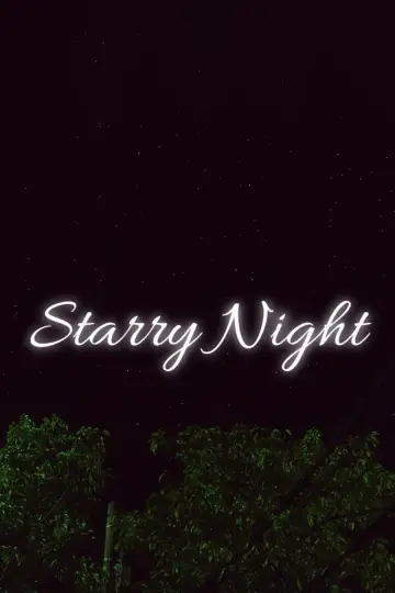 Starry Night Poster