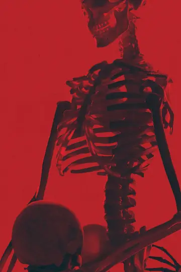 Poster to the movie "Bone Lake" #532180
