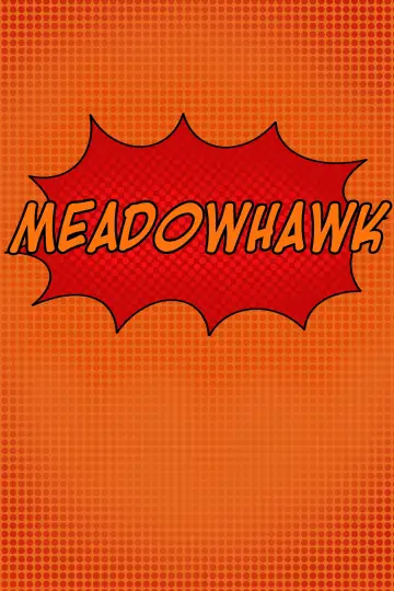 Poster to the movie "Meadowhawk" #836773