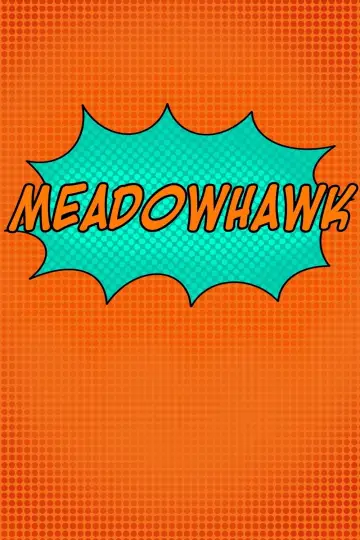 Poster to the movie "Meadowhawk" #836774
