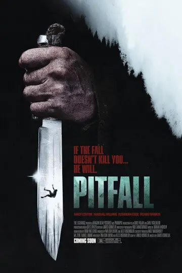 Poster to the movie "Pitfall" #818056