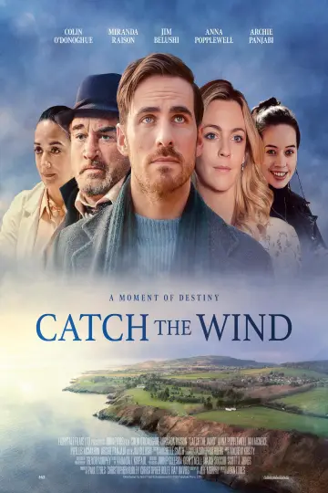 Poster to the movie "Catch the Wind" #933720