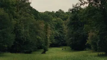 Backdrop to the movie "Henry