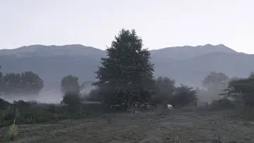 Backdrop to the movie "The Last Nomad" #794043