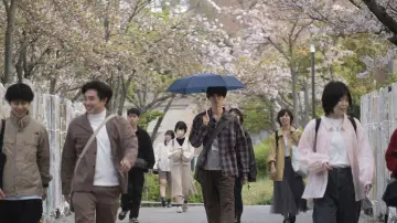 Backdrop to the movie "She Taught Me Serendipity" #691121