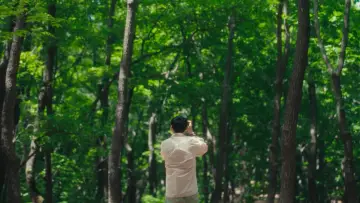Backdrop to the movie "Summer