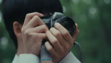 Backdrop to the movie "Summer