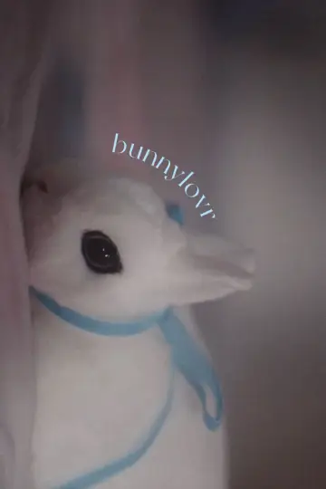 Poster to the movie "Bunnylovr" #1210652