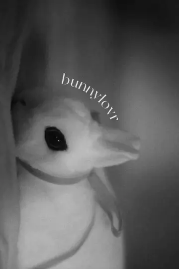Poster to the movie "Bunnylovr" #1210653