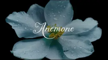 Backdrop to the movie "Anemone" #518915