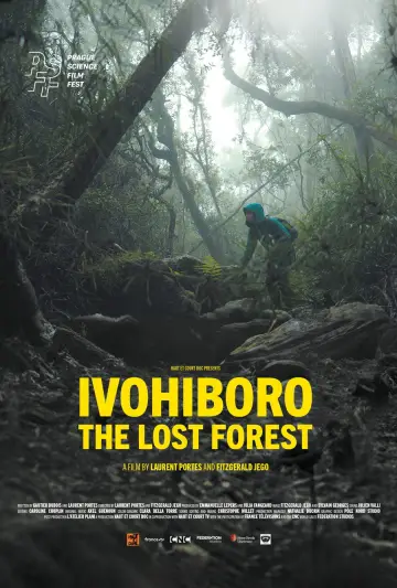 Poster to the movie "Ivohiboro, la forêt oubliée" #1141706