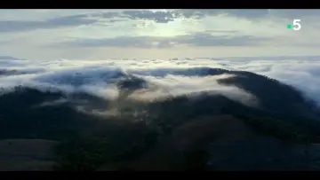 Backdrop to the movie "Ivohiboro, la forêt oubliée" #735894
