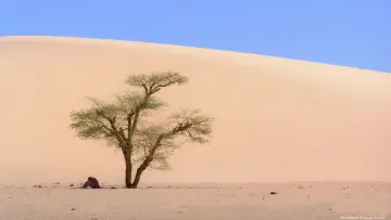 Backdrop to the movie "End of Trip, Sahara" #1765687