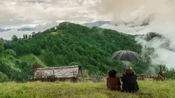 Backdrop to the movie "Pyre" #1904472