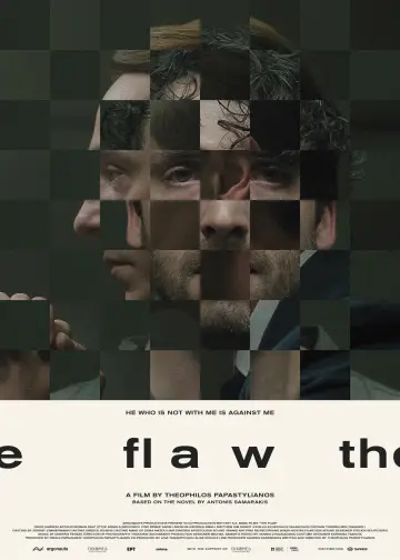 The Flaw Poster