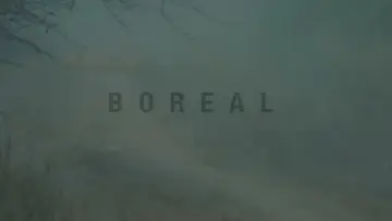 Backdrop to the movie "Boreal" #792174