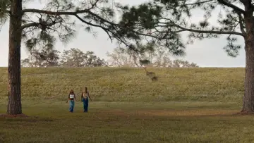 Backdrop to the movie "Is God Is" #1797297