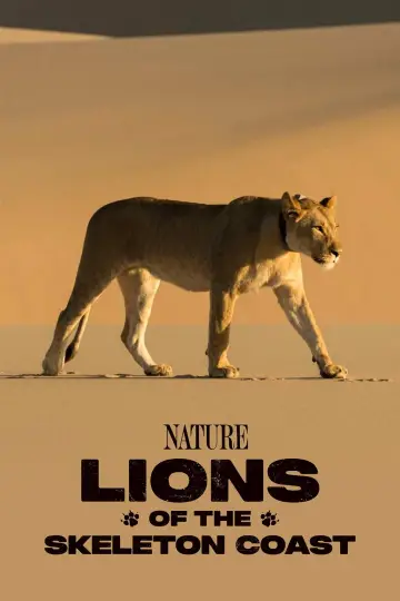 Lions of the Skeleton Coast