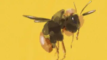 Backdrop to the movie "Bumblebee" #1835147