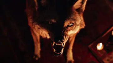 Backdrop to the movie "Coyotes" #550019