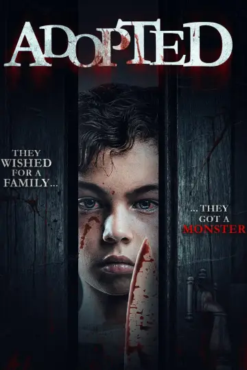 Poster to the movie "Adopted" #880659