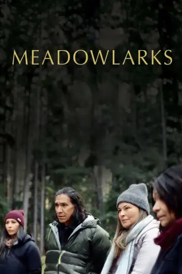 Poster to the movie "Meadowlarks" #842463