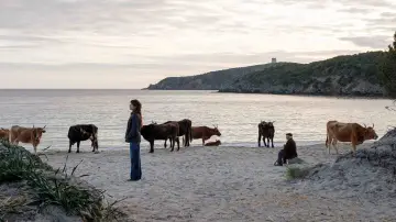 Backdrop to the movie "Life Is Life" #1625905