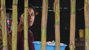Backdrop to the movie "Mother